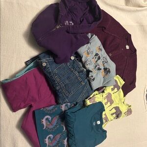 9-item bundle of 2-3T clothes, Tea collection, primary and GAP
